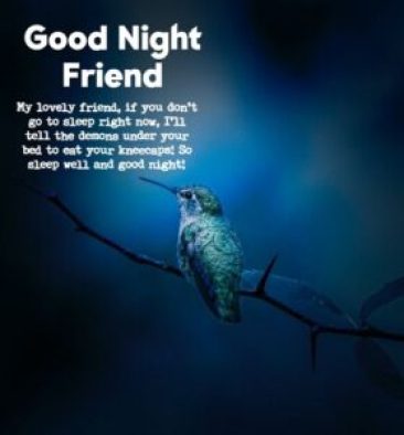 Funny Good Night Wishes for Friend