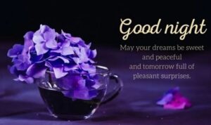 Inspirational Good Night Wishes for Friend