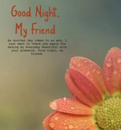 Special Good Night Wishes for Friend